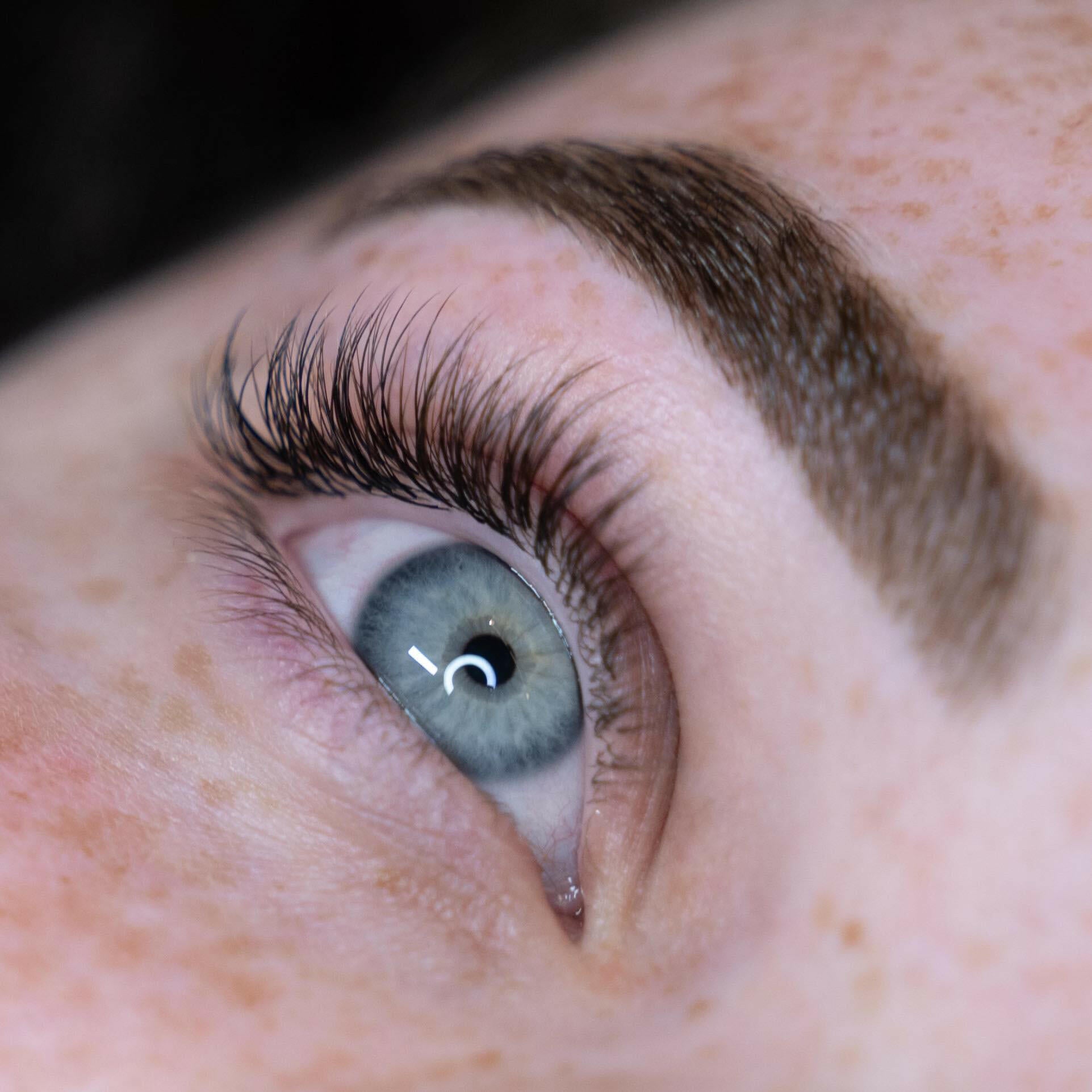 4 Day Beginner Brow Styling Course | Brisbane LashJoy.