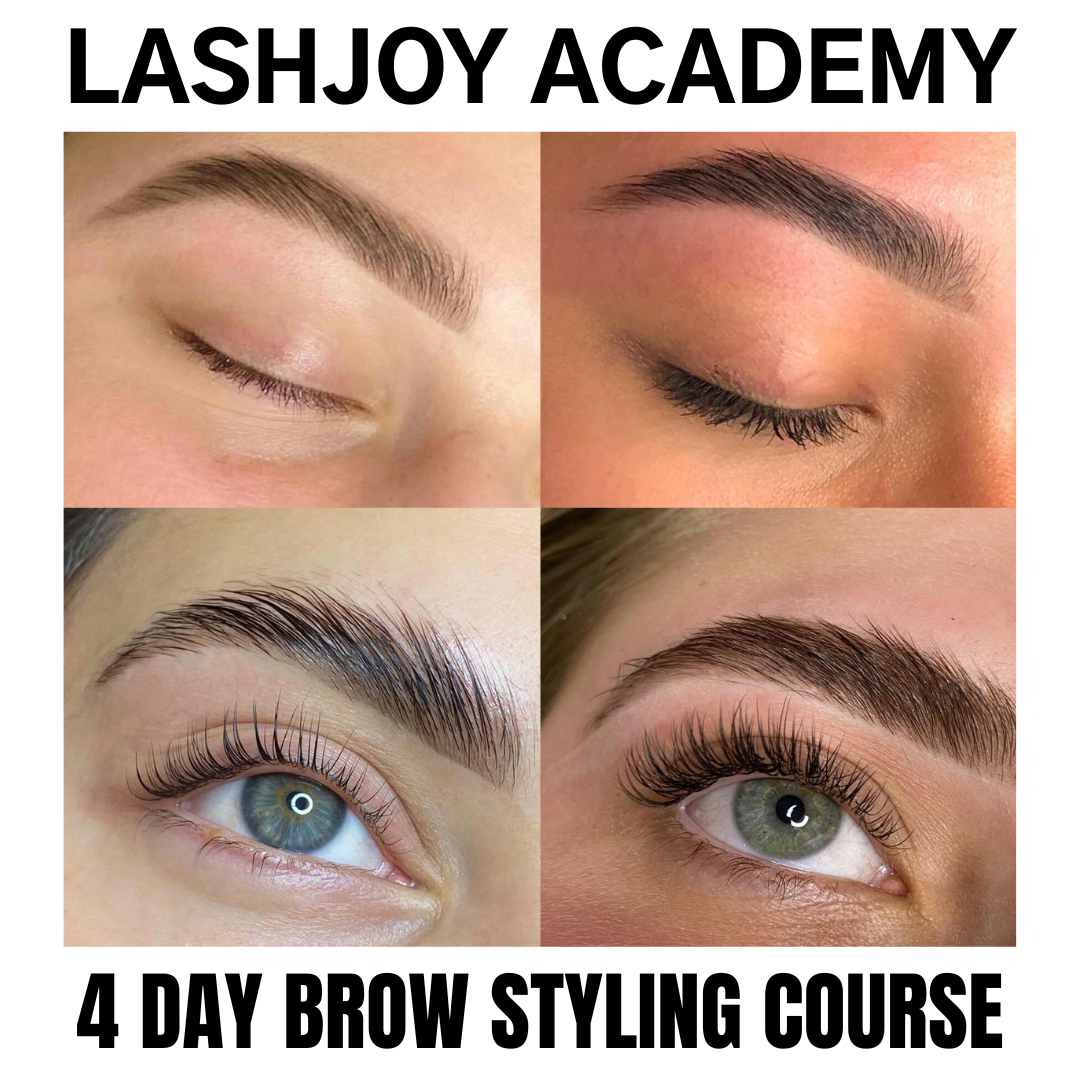 4 Day Beginner Brow Styling Course | Brisbane