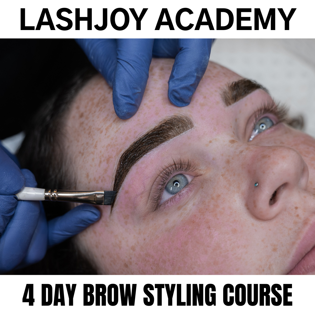 4 Day Beginner Brow Styling Course | Brisbane