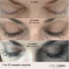 CanGro Long Lashes Eyelash Enhancer LashJoy.