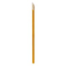 Disposable Applicator Wands - 50 Pack LashJoy.