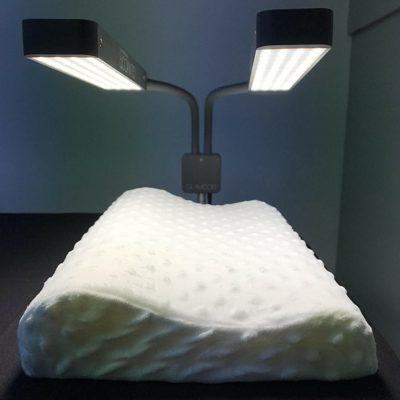 Contour Lash Pillow for Lash Artists LashJoy.