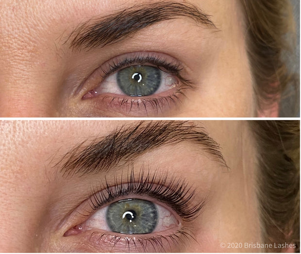 sky high lash lift shields