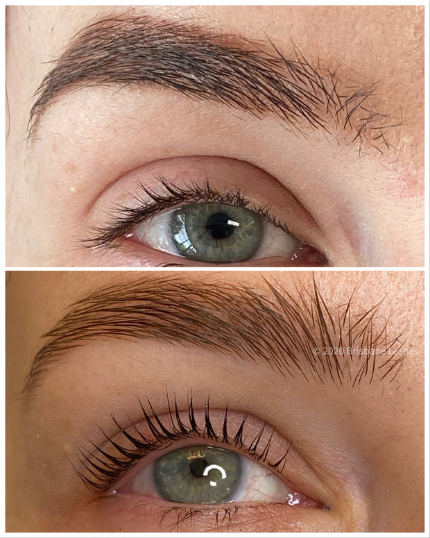 sky high lash lift shields