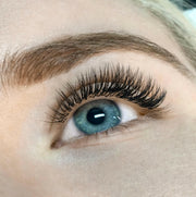 Classic Lash Mastery Course